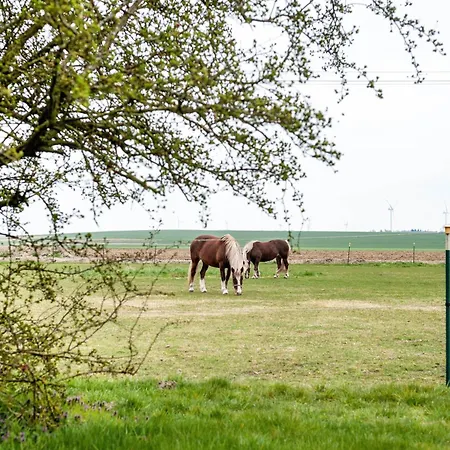 Haus Salzhaff An Der Ostsee Prázdninový dům Tessmannsdorf
