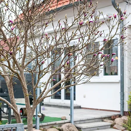 Haus Salzhaff An Der Ostsee *